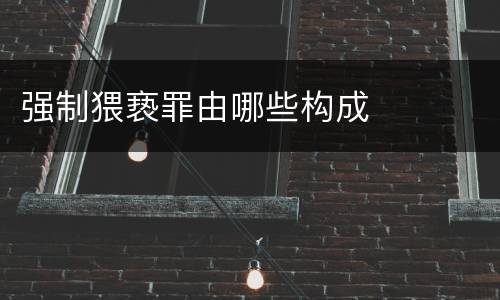 强制猥亵罪由哪些构成