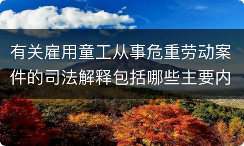 有关雇用童工从事危重劳动案件的司法解释包括哪些主要内容
