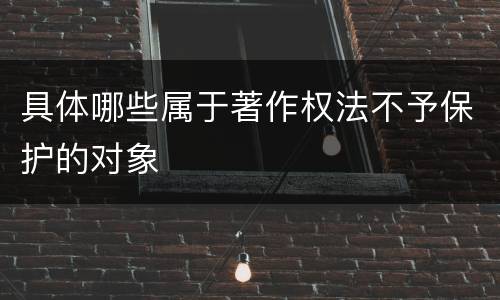 具体哪些属于著作权法不予保护的对象