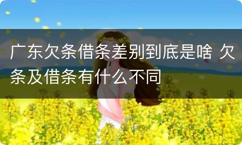 广东欠条借条差别到底是啥 欠条及借条有什么不同