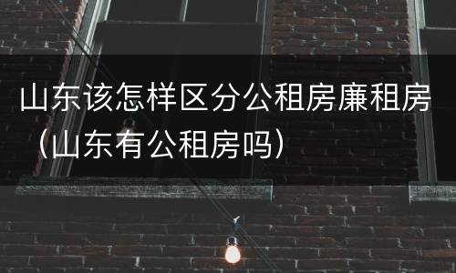山东该怎样区分公租房廉租房（山东有公租房吗）