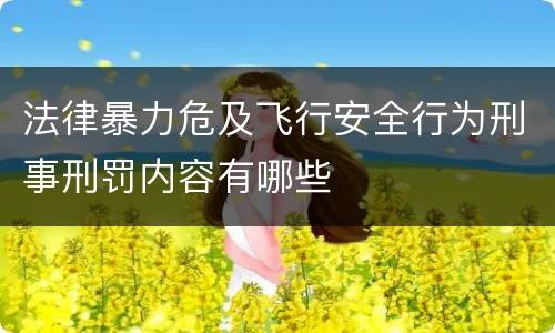 法律暴力危及飞行安全行为刑事刑罚内容有哪些