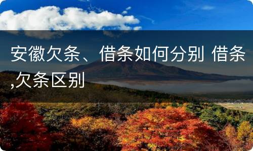 安徽欠条、借条如何分别 借条,欠条区别