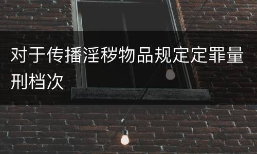 对于传播淫秽物品规定定罪量刑档次