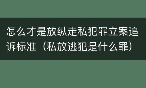 怎么才是放纵走私犯罪立案追诉标准（私放逃犯是什么罪）