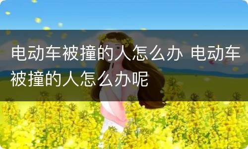 电动车被撞的人怎么办 电动车被撞的人怎么办呢