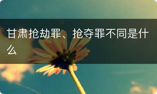 甘肃抢劫罪、抢夺罪不同是什么