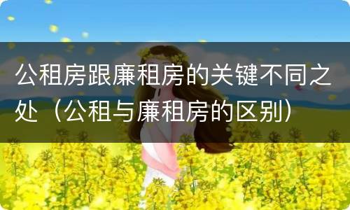 公租房跟廉租房的关键不同之处（公租与廉租房的区别）
