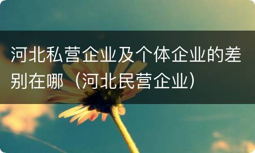 河北私营企业及个体企业的差别在哪（河北民营企业）