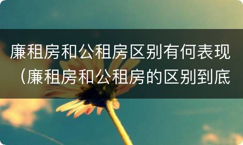 廉租房和公租房区别有何表现（廉租房和公租房的区别到底是什么）
