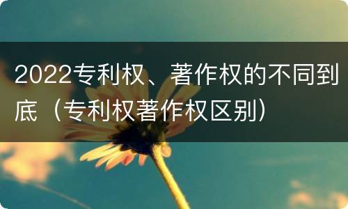 2022专利权、著作权的不同到底（专利权著作权区别）