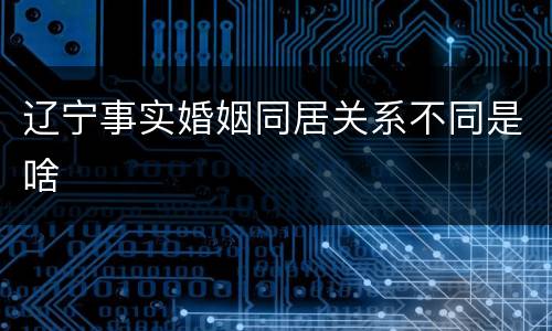 辽宁事实婚姻同居关系不同是啥