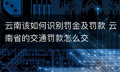 云南该如何识别罚金及罚款 云南省的交通罚款怎么交