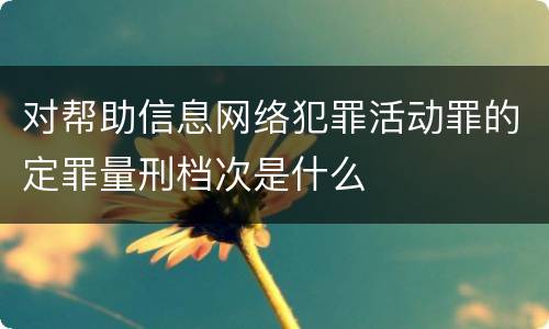 对帮助信息网络犯罪活动罪的定罪量刑档次是什么
