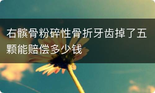 右髌骨粉碎性骨折牙齿掉了五颗能赔偿多少钱