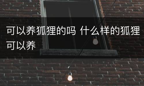 可以养狐狸的吗 什么样的狐狸可以养