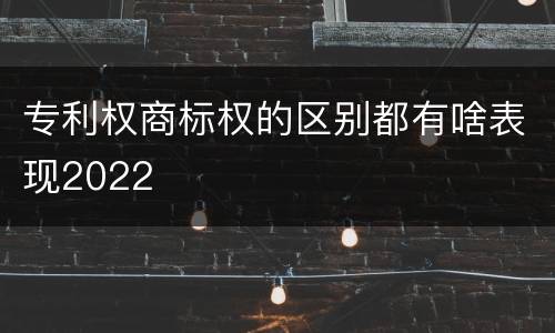 专利权商标权的区别都有啥表现2022