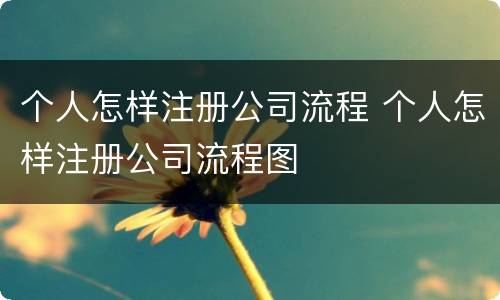 个人怎样注册公司流程 个人怎样注册公司流程图
