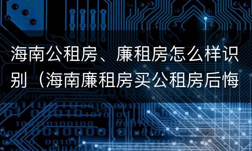 海南公租房、廉租房怎么样识别（海南廉租房买公租房后悔了）