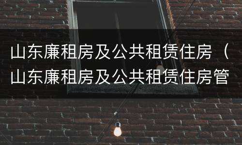 山东廉租房及公共租赁住房（山东廉租房及公共租赁住房管理办法）