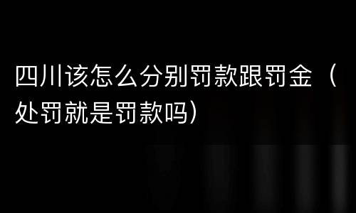 四川该怎么分别罚款跟罚金（处罚就是罚款吗）