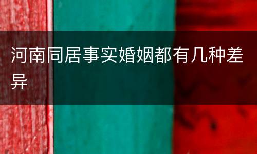 河南同居事实婚姻都有几种差异