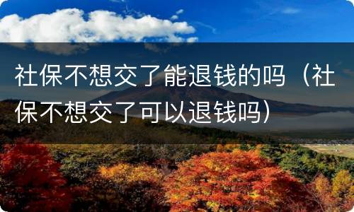 社保不想交了能退钱的吗（社保不想交了可以退钱吗）