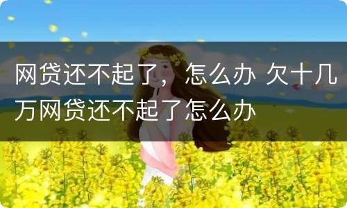网贷还不起了，怎么办 欠十几万网贷还不起了怎么办