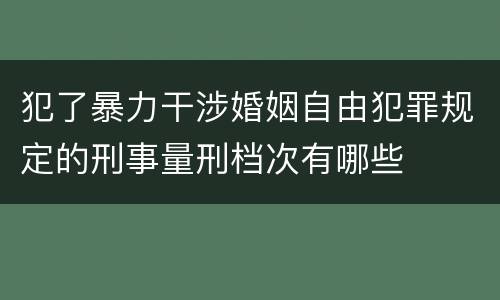 犯了暴力干涉婚姻自由犯罪规定的刑事量刑档次有哪些