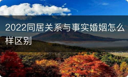 2022同居关系与事实婚姻怎么样区别