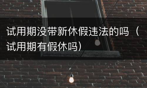 试用期没带新休假违法的吗（试用期有假休吗）