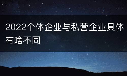 2022个体企业与私营企业具体有啥不同
