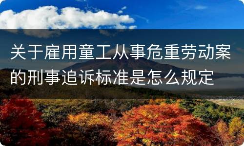 关于雇用童工从事危重劳动案的刑事追诉标准是怎么规定