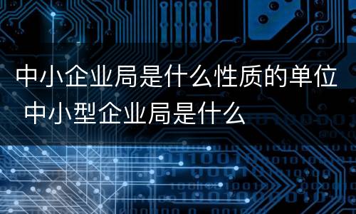 中小企业局是什么性质的单位 中小型企业局是什么