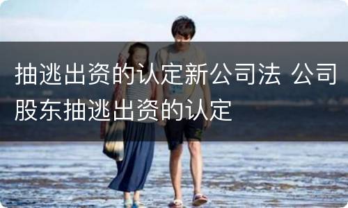 抽逃出资的认定新公司法 公司股东抽逃出资的认定
