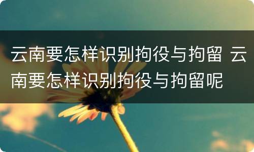 云南要怎样识别拘役与拘留 云南要怎样识别拘役与拘留呢