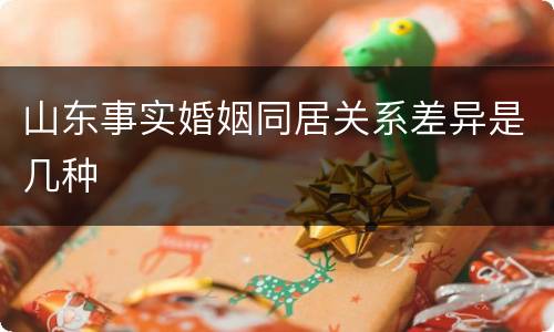 山东事实婚姻同居关系差异是几种