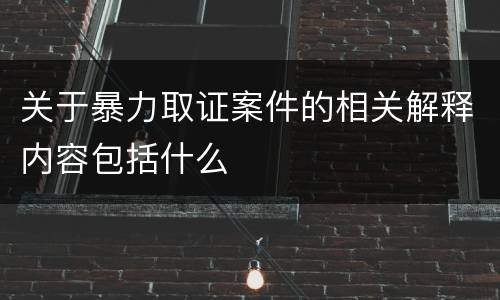 关于暴力取证案件的相关解释内容包括什么
