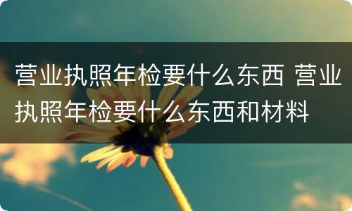 营业执照年检要什么东西 营业执照年检要什么东西和材料