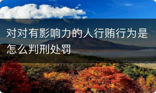对对有影响力的人行贿行为是怎么判刑处罚
