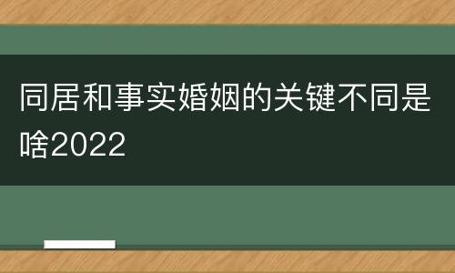 同居和事实婚姻的关键不同是啥2022
