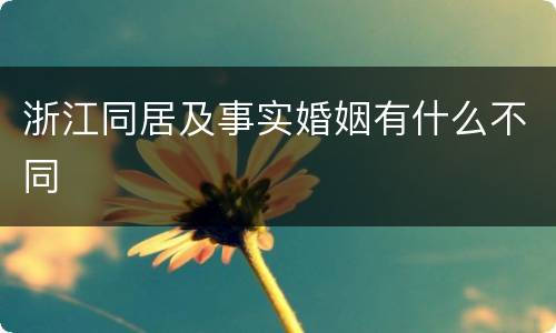 浙江同居及事实婚姻有什么不同