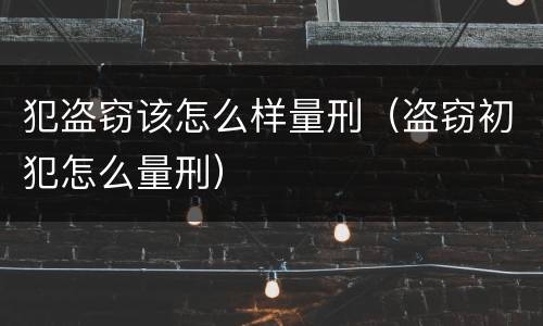 犯盗窃该怎么样量刑（盗窃初犯怎么量刑）
