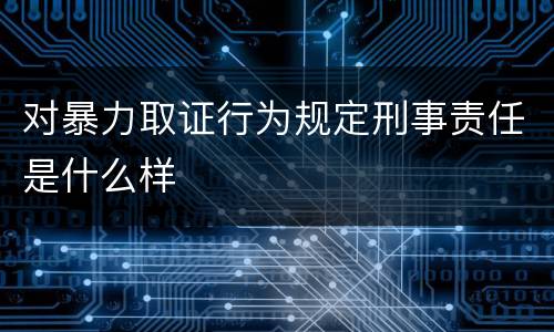 对暴力取证行为规定刑事责任是什么样
