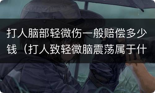 打人脑部轻微伤一般赔偿多少钱（打人致轻微脑震荡属于什么伤害）