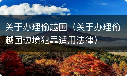 关于办理偷越国（关于办理偷越国边境犯罪适用法律）