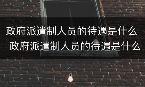 政府派遣制人员的待遇是什么 政府派遣制人员的待遇是什么意思