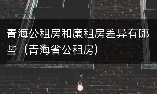 青海公租房和廉租房差异有哪些（青海省公租房）