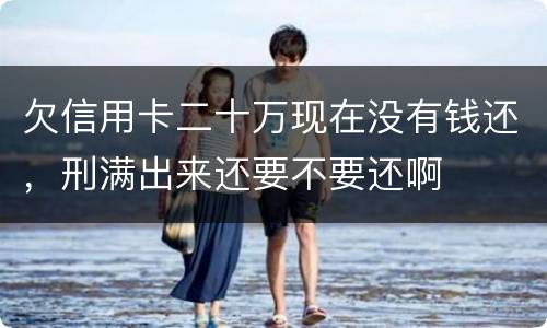 欠信用卡二十万现在没有钱还，刑满出来还要不要还啊