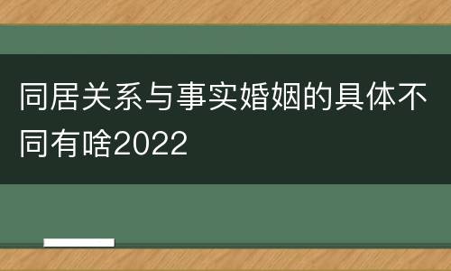 同居关系与事实婚姻的具体不同有啥2022